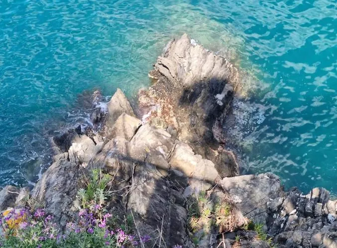 Lejlighed 5 Cinque Terre Monolocale In Centro A La Spezia